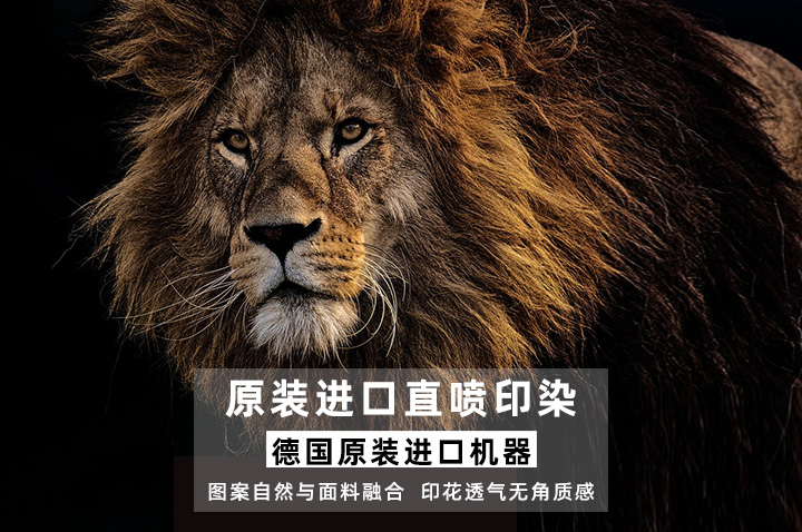 原裝進(jìn)口直噴印染